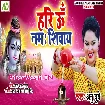 Hari Om Nama Shivay (Anu Dubey)