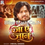 Ja Ae Jaan Hamara Ke Bhula Jaiha.mp3