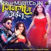 Jindagi Me Ailu (Ankush Raja, Shilpi Raj)