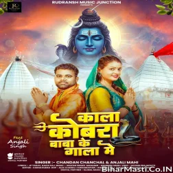 Kala Cobra Baba Ke Gala Me