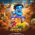 Mero Kanha Ka Aaj Janamdin Re.mp3