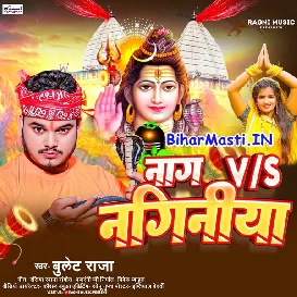 Naag Vs Nagin (Bullet Raja)