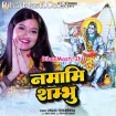 Namami Shambhu (Anjali Bhardwaj)