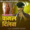 Pagal Dilwa (Aashish Yadav)