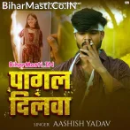 Pagal Dilwa (Aashish Yadav)