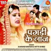 Pagdi Ke Laaj (Anand Mohan, Nitu Shree)