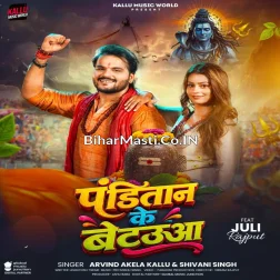 Puja Kare Aail Panditaan Ke Betauwa