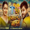 Patare Balam (Ankush Raja, Shilpi Raj) Video Song