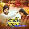 Pyari Bahina (Vishal Gagan)