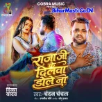 Raja Ji Ke Dilwa Dole Na.mp3