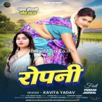Ae Raja Ropaniya Kara Chahe Karvawa.mp3