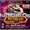 Sate Na Balamua Palang Rovela (Khesari Lal Yadav) Superhit New Album Full Mp3 Songs