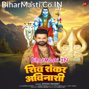 Shiv Shankar Avinashi (Ritesh Pandey)