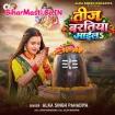 Teej Baratiya Aayil (Alka Singh Pahadiya)
