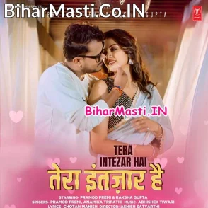 Tera Intezar Hai (Pramod Premi Yadav, Anamika Tripathi)