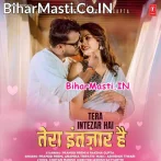 Tera Intezar Hai (Pramod Premi Yadav, Anamika Tripathi)