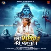 Teri Bhakti Meri Pahachan (Khushbu Tiwari KT)