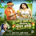 Tora Aam Me Ketna Guda Hoi (Bullet Raja, Srishti Bharti)